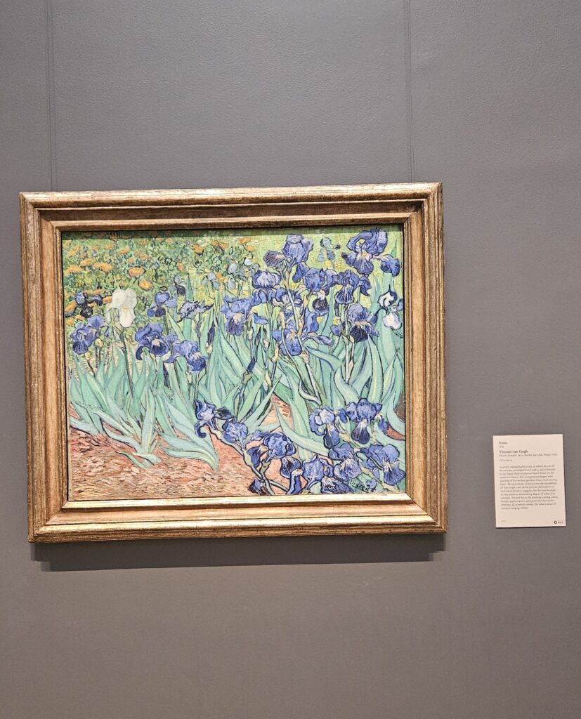 게티 센터(Getty Center) 무료 관람 예약 팁과 반 고흐 아이리스 전시